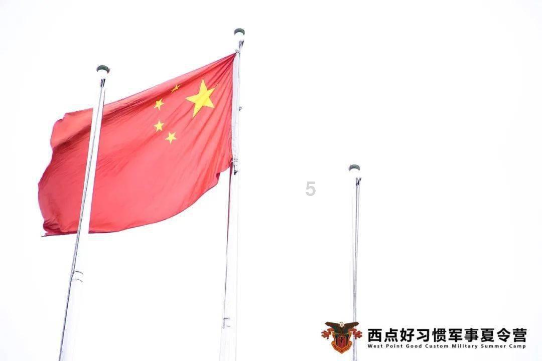 饥饿的哈利